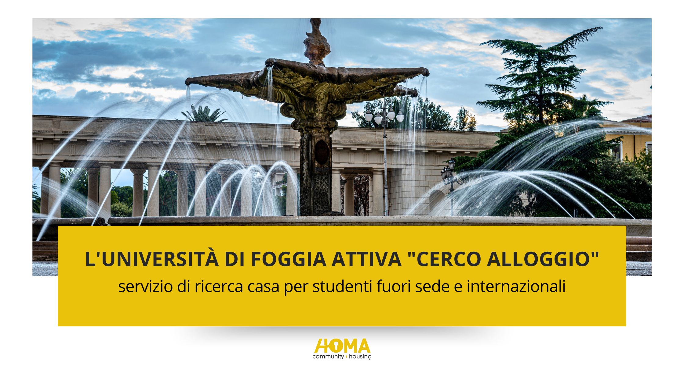 immagini blog (57)